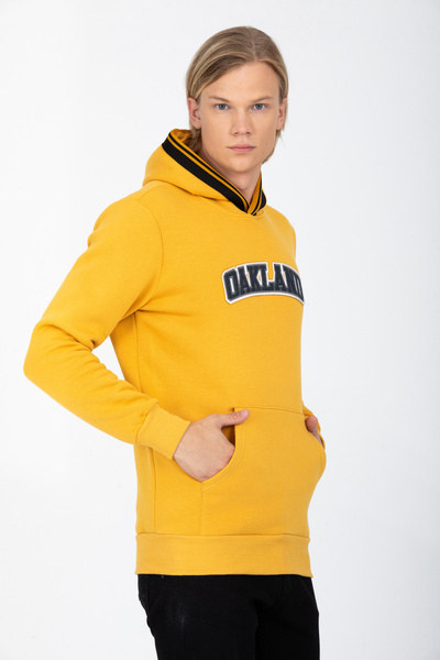 DYNAMO Чоловічий худі з капюшоном, кишенями та шардом всередині, прямий крій, бавовняний світло-сірий 6756