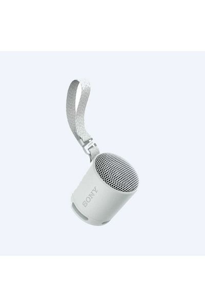 Sony Portable Bt Speaker-Grey