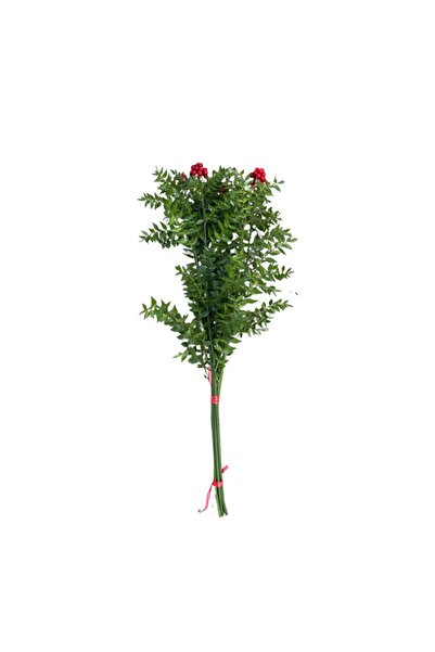 Genel Markalar Canlı Yılbaşı Çiçeği Şans Bitkisi Kokina 1 Demet 6 Dal)