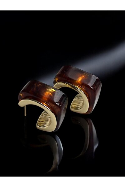 NAİFTAKIAKSESUAR Women's Brown Bone Square Steel Earrings