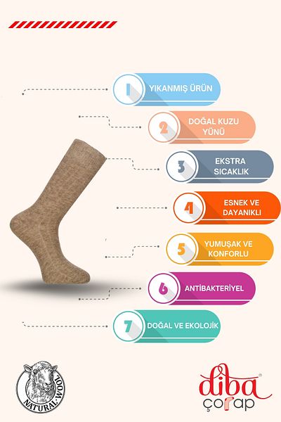 Diba Set of 6 Men's Wool Derby Socks