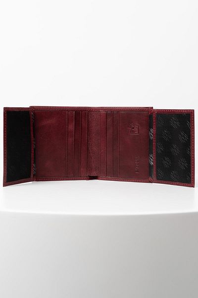 BAYDERİ Cacna Genuine Leather Polite Men's Wallet