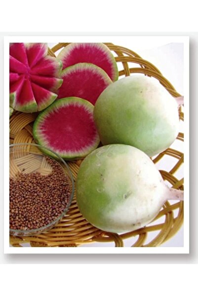 AKSARAY TOHUMCULUK Çin Turp Tohumu 100 Adet Tohum Aksaray Tohumculuk