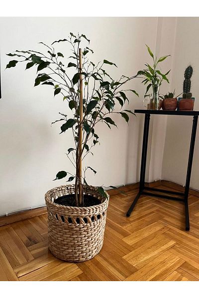 AFRALYAHOME إنتاج خاص من الخوص - ديكور المنزل، زينة الباب، وعاء الزهور، ديكور الحائط، وعاء الزهور