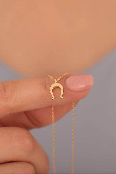 Nox Jewelry 925 Ayar Altın Mikron Kaplama Minimal At Nalı Gümüş Kolye - CN00377