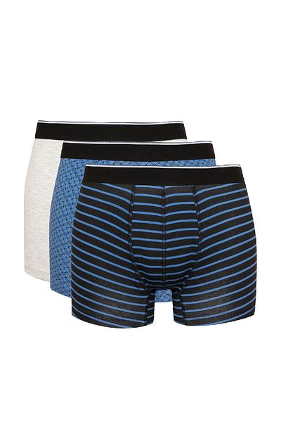 DeFacto C9573ax24cw 3-teiliges Boxerset mit Streifen