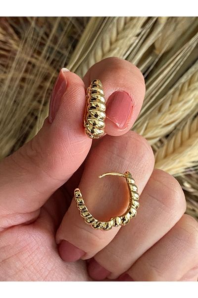 Lucios Golden Handworked Unbreakable Series Golden Color Small Size Hook Earrings