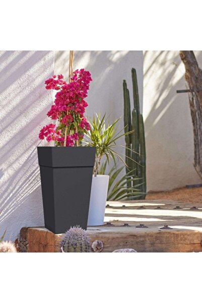 Bloem وعاء زرع متين طويل ومدبب من الراتينج من فينلي، مقاس 25 بوصة