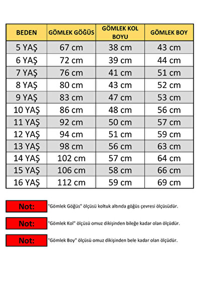 Entel Boy's Lumberjack Plaid Shirt