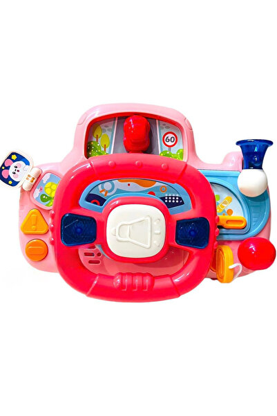 BABYCİM Babycim İlk Sürücüm