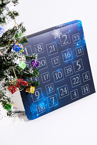 Elika Silver Kadın 24'lü Hediye Seti - Advent Calendar - Gümüş Renk Takılar - 1 Adet 925 Ayar Gümüş Ürün