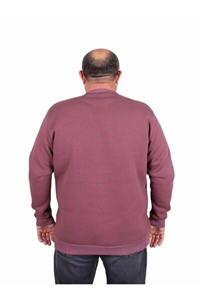 Starbattal Plus Size Men's Sweat - Crew Neck, Twenty 24200 Purple