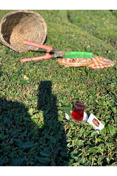 ÇAYTAŞÇAY 30 gr Demlik Poşet Çay 5kg Diamond Model