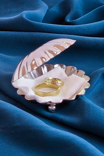 ioadesign Oyster Ring Holder Metal - Silver