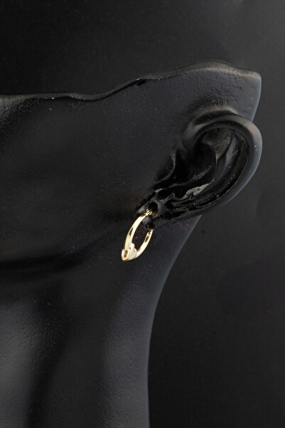 Bilezikci Orta Boy 14 Ayar Altın Kalp Halka Küpe