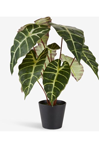 DavidaHome Planta artificiala, cu frunze verzi, in ghiveci, 38x42 cm