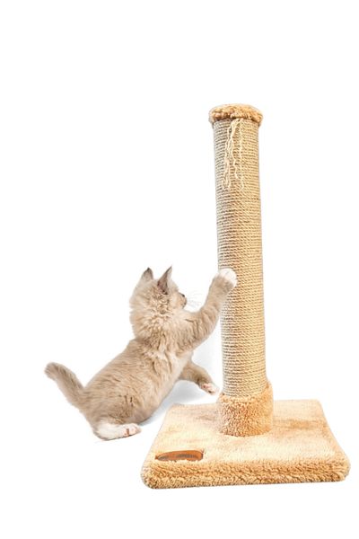 MoMMe 52 cm Brown Cat Scratch Board