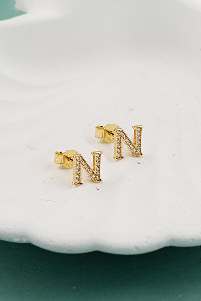 Bilezikci 14 Ayar Taşlı N Harfi Klipsli Altın Küpe