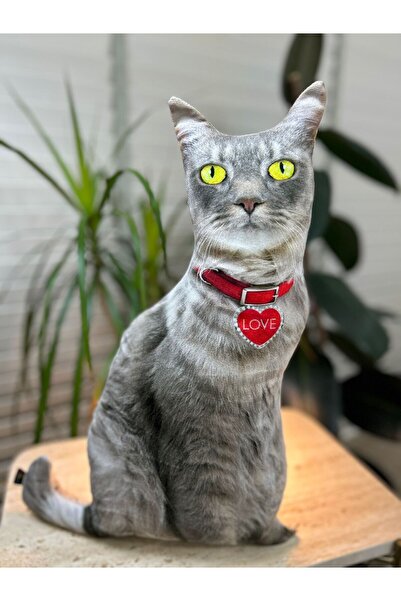 Pethoven Sevgililer Günü Love Kedi Yastık "çakır"