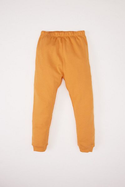 DeFacto Baby Boy Pajamas Set - Crew Neck, Lion Print, Long Sleeve, Elastic Waist, Long Bottom D7158A5