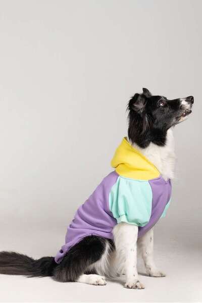 salya store Köpek Kıyafeti, Köpek Sweatshirt, Positive Vibes Küçük Irk Köpek Elbisesi