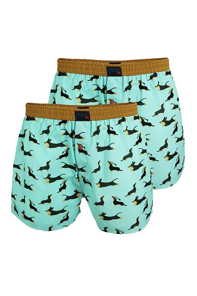 Unabux Boxer FLYING FALCON