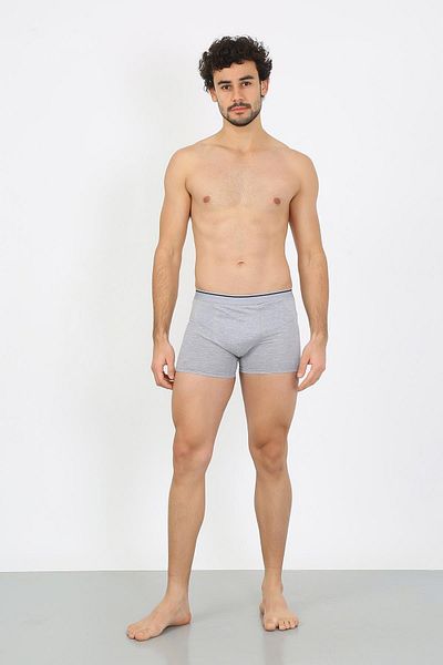 Akbeniz Men's Plus Size Cotton Lycra Boxers Gray 40134