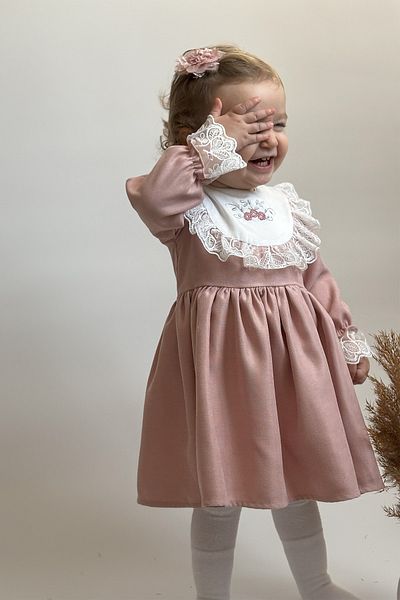 ALYRA Girl Child Baby Long Sleeve Floral Embroidery Ruffled Birthday Party Special Occasion Christmas Velvet Dress