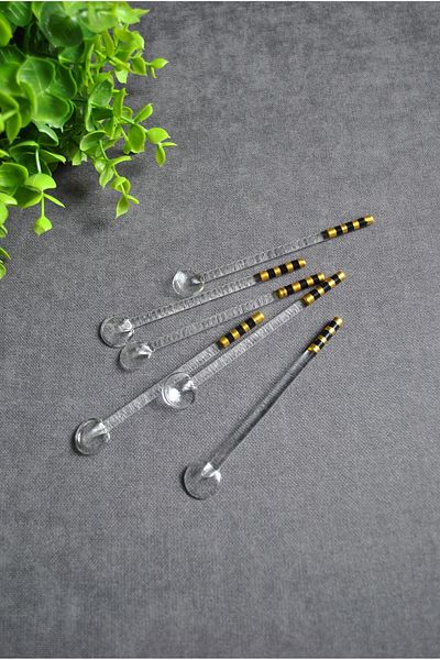 Purelegant 6 Pieces Gold Color Embroidered Glass Tea and Presentation Spoons