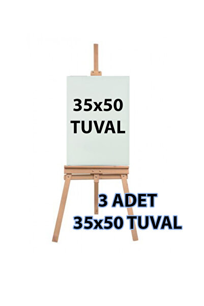 everart 35x50 Tuval (3ADET)