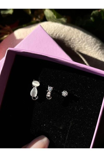 2D2B NATURE Steel Zircon Stone Silver Color Cat Earrings Set