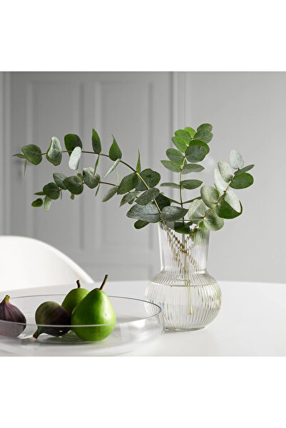 IKEA Padrag Dekoratif Vazo, Saydam Cam Vazo
