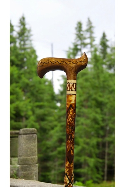 AHŞAPCİTY Devrek Bastonu ( Kızılcık Ağacı)