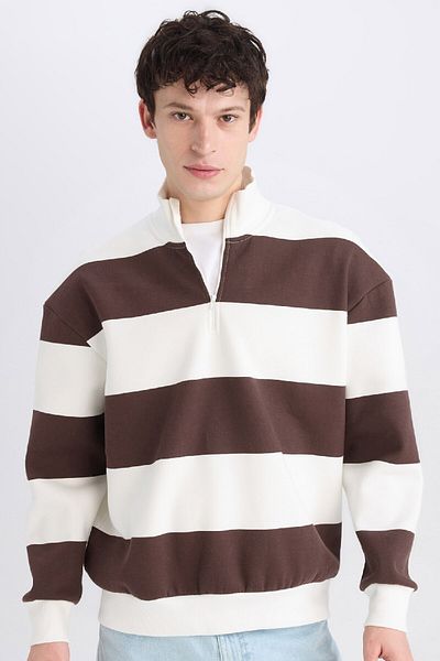 DeFacto Boxy Fit Sweatshirt mit Reißverschluss und Stehkragen, gestreift, C7045ax24au