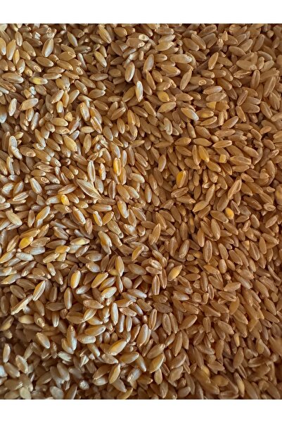 ÇİFTÇİ Tavuk Ve Kuş Için Yemlik Buğday 10 Kg