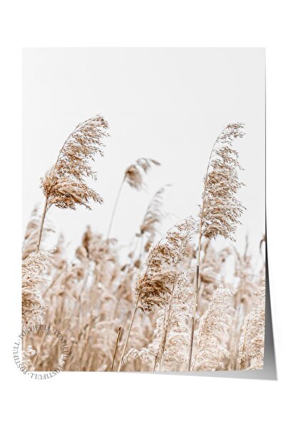 Postifull Rustic Çerçevesiz Poster, İskandinav Kahverengi Tablo, NO:293 Sazlı...