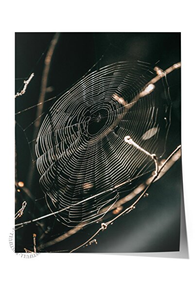 Postifull Poster rustic fără ramă, pictură nordică maro, nr:482 Fotografie de...