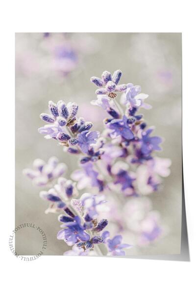 Postifull Poster rustic fără rame, pictură nordică violet, NR:341 Fotografie ...