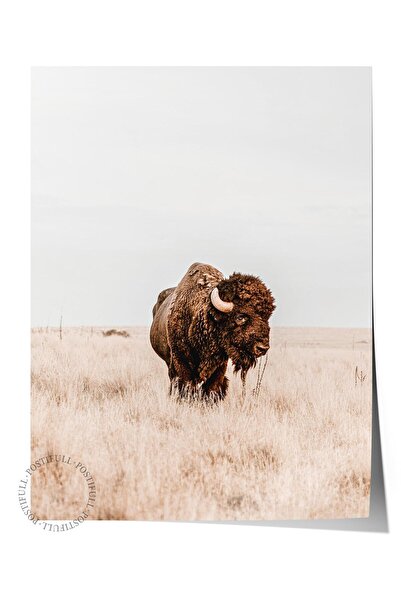 Postifull Poster rustic fără rame, pictură nordică maro, NR:382 Fotografie cu...