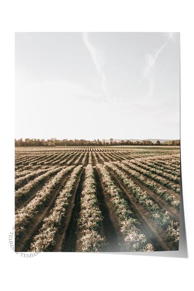 Postifull Poster rustic fără încadrare, pictură nordică maro, NR:206 Fotograf...