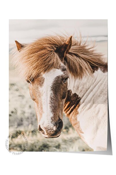 Postifull Poster rustic fără rame, pictură nordică maro, NR:378 Fotografie cu...