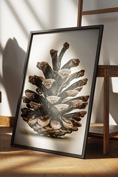 Postifull Rustic Çerçevesiz Poster, İskandinav Kahverengi Tablo, NO:402 Kozalak Fotoğraf, Yatay