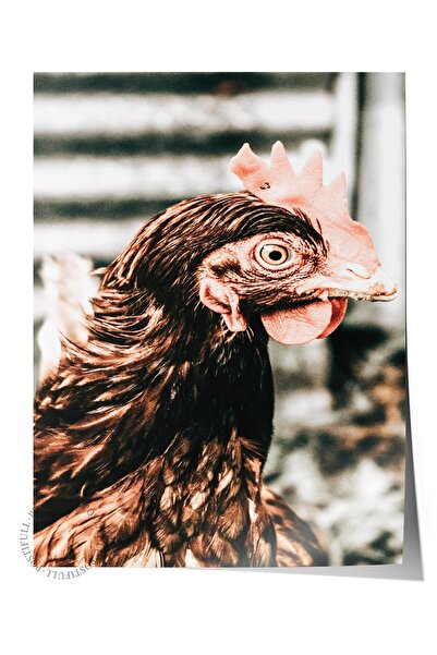 Postifull Poster rustic fără rame, pictură nordică maro, NR:211 Fotografie cu...