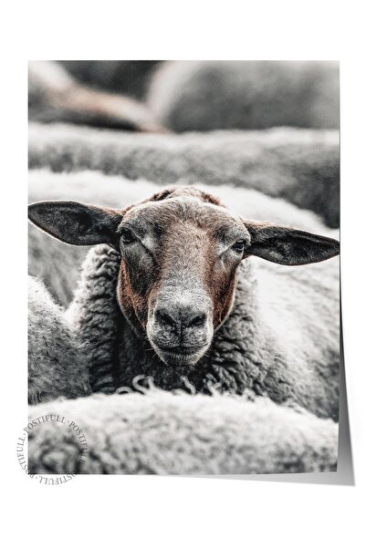 Postifull Poster rustic fără rame, pictură nordică maro, NR:270 Fotografie de...