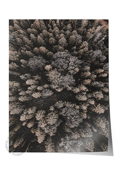 Postifull Poster rustic fără ramă, pictură nordică maro, NR:351 Fotografie cu...