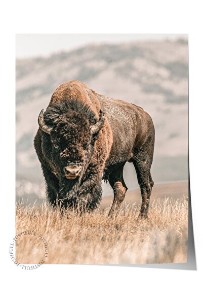 Postifull Rustic Unframed Poster, Scandinavian Brown Painting, No:294 Buffalo...