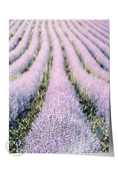 Postifull Poster rustic fără rame, pictură nordică violetă, NR:243 Fotografie...