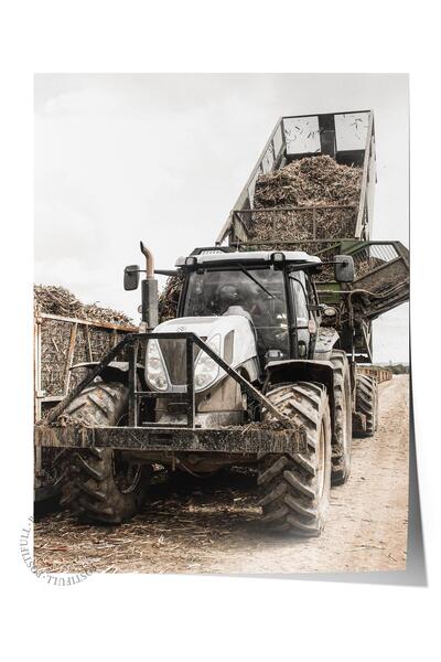 Postifull Rustic Çerçevesiz Poster, İskandinav Kahverengi Tablo, NO:394 Trakt...