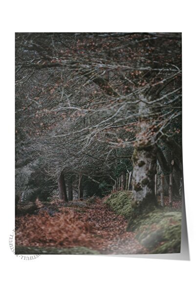 Postifull Poster rustic fără rame, pictură nordică maro, nr:478 Fotografie ru...