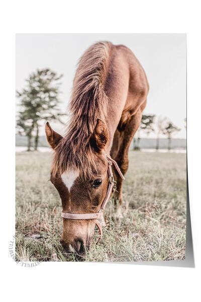 Postifull Poster rustic fără ramă, pictură nordică maro, NR:242 Fotografie cu...